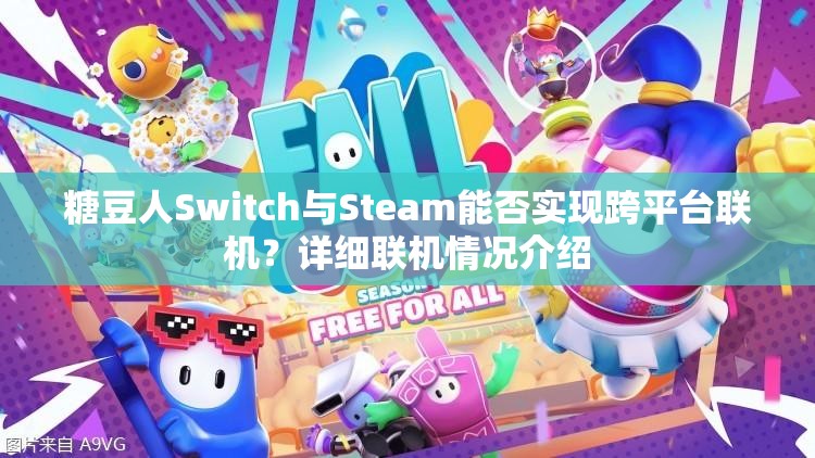糖豆人Switch与Steam能否实现跨平台联机？详细联机情况介绍