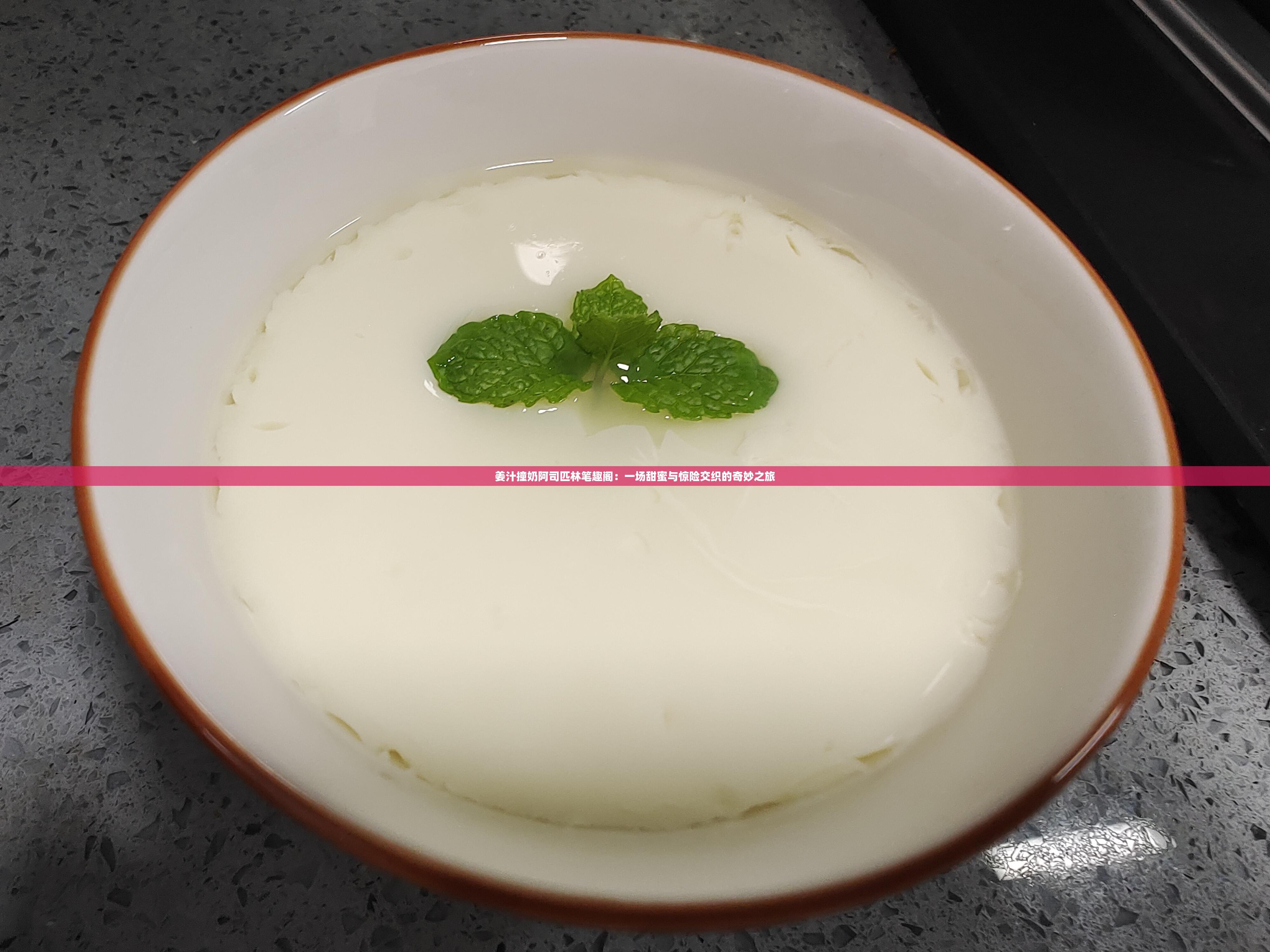 姜汁撞奶阿司匹林笔趣阁:一场甜蜜与惊险交织的奇妙之旅 姜汁撞奶阿司匹林笔趣阁:一场甜蜜与惊险交织的奇妙之旅