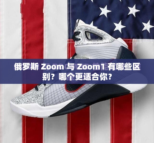 俄罗斯 Zoom 与 Zoom1 有哪些区别?哪个更适合你? 俄罗斯 Zoom 与 Zoom1 有哪些区别?哪个更适合你?