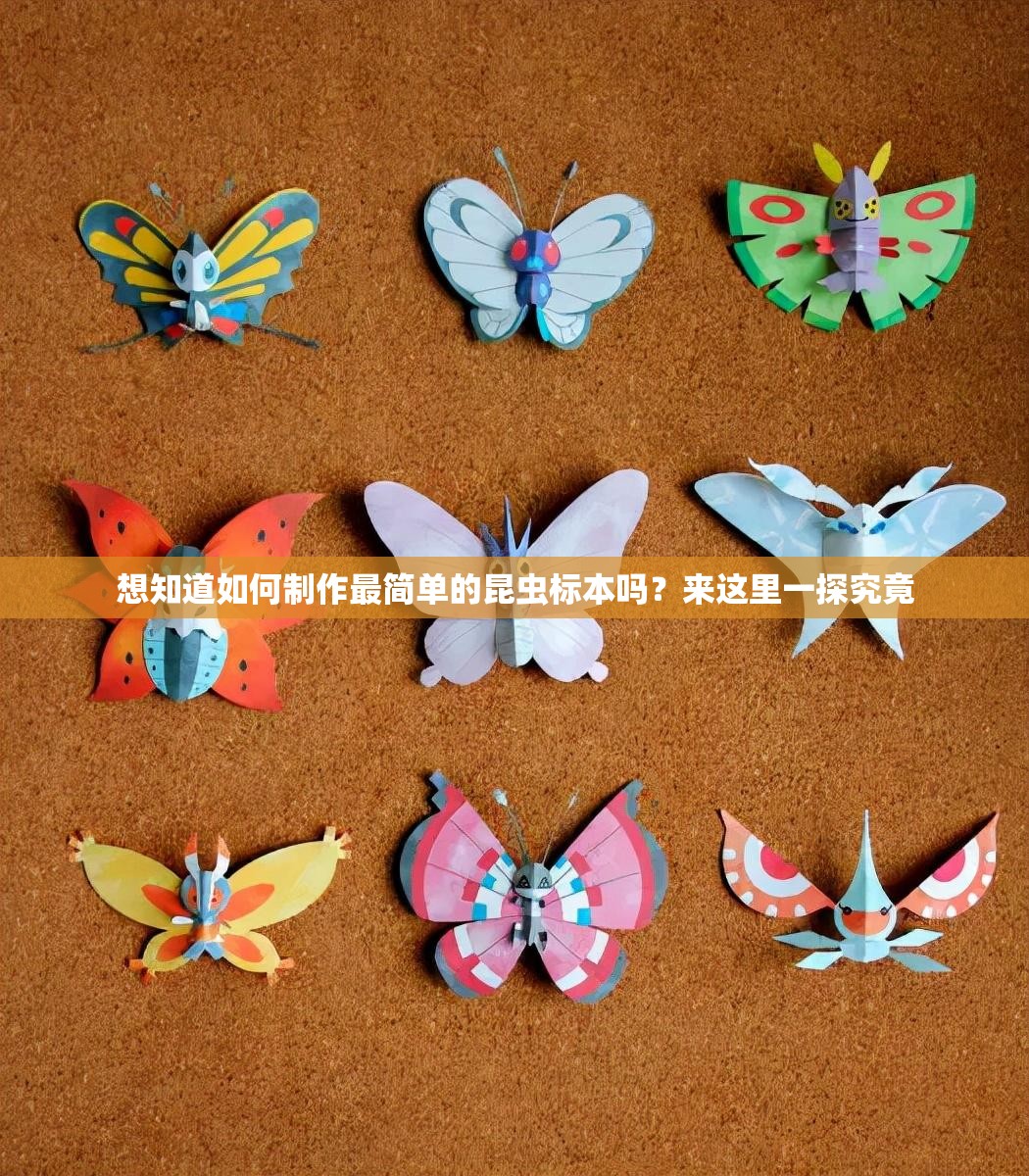 想知道如何制作最简单的昆虫标本吗?来这里一探究竟 想知道如何制作最简单的昆虫标本吗?来这里一探究竟