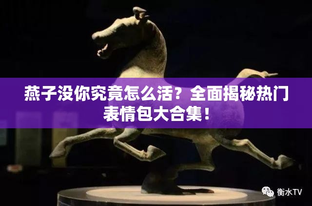 燕子没你究竟怎么活？全面揭秘热门表情包大合集！